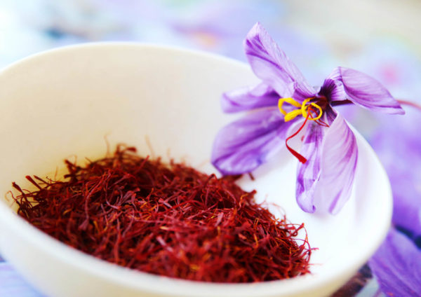 Saffron-Cup-Flower